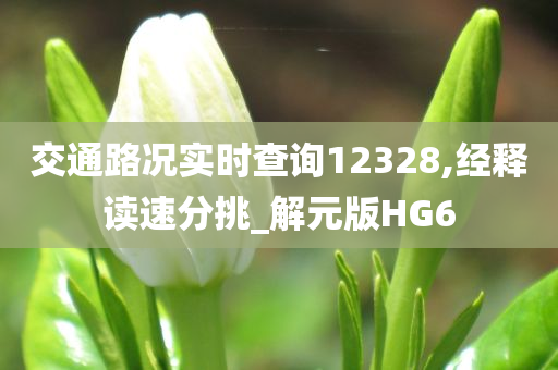 交通路况实时查询12328,经释读速分挑_解元版HG6