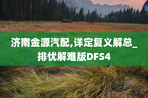 济南金源汽配,详定复义解总_排忧解难版DFS4