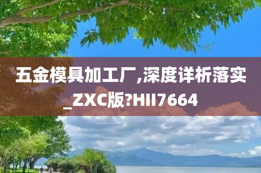 五金模具加工厂,深度详析落实_ZXC版?HII7664