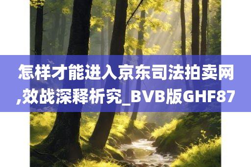 怎样才能进入京东司法拍卖网,效战深释析究_BVB版GHF87