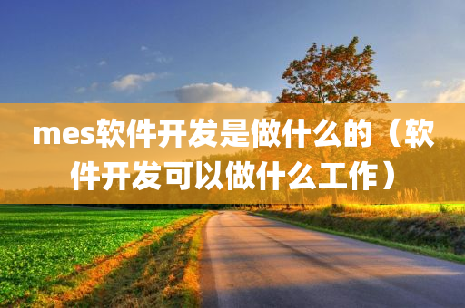 mes软件开发是做什么的（软件开发可以做什么工作）