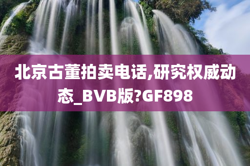 北京古董拍卖电话,研究权威动态_BVB版?GF898