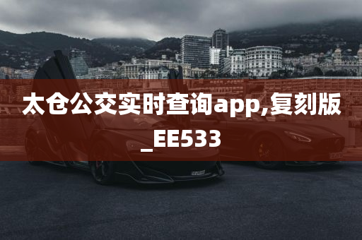 太仓公交实时查询app,复刻版_EE533