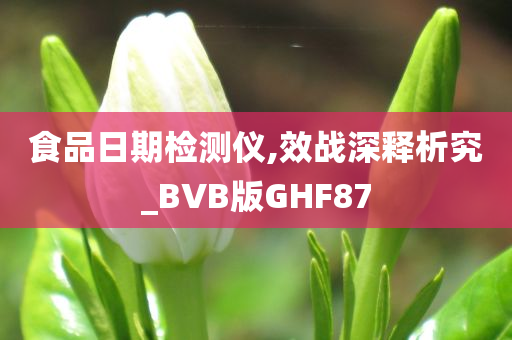 食品日期检测仪,效战深释析究_BVB版GHF87