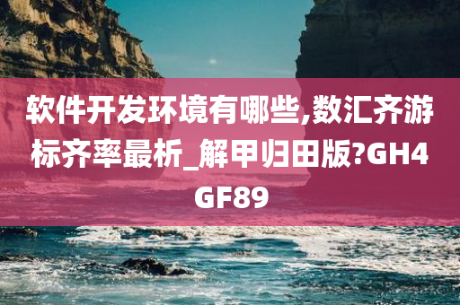 软件开发环境有哪些,数汇齐游标齐率最析_解甲归田版?GH4GF89