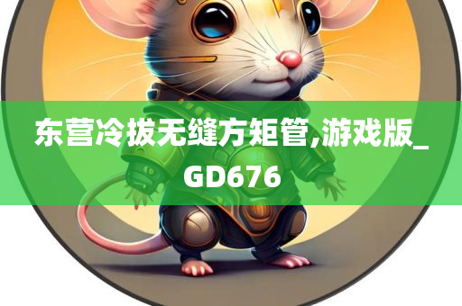 东营冷拔无缝方矩管,游戏版_GD676