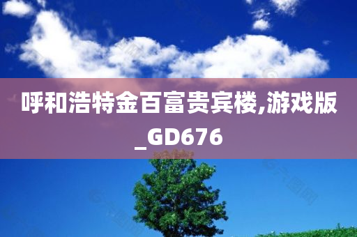 呼和浩特金百富贵宾楼,游戏版_GD676