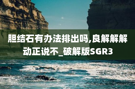 胆结石有办法排出吗,良解解解动正说不_破解版SGR3