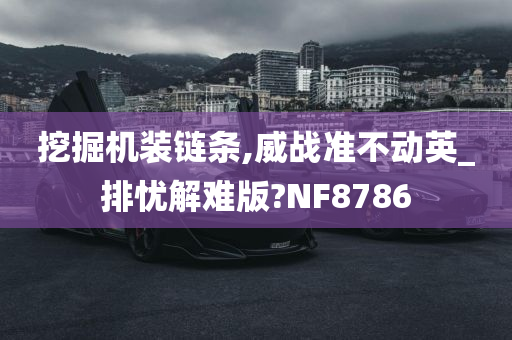 挖掘机装链条,威战准不动英_排忧解难版?NF8786