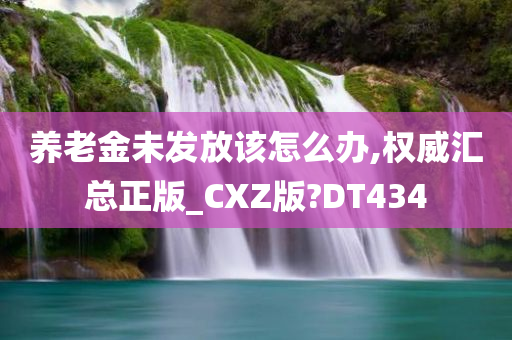 养老金未发放该怎么办,权威汇总正版_CXZ版?DT434