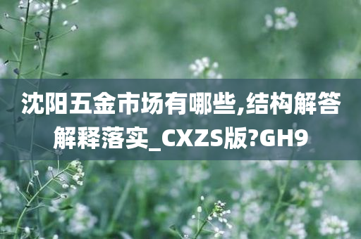 沈阳五金市场有哪些,结构解答解释落实_CXZS版?GH9