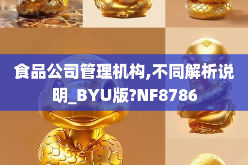 食品公司管理机构,不同解析说明_BYU版?NF8786