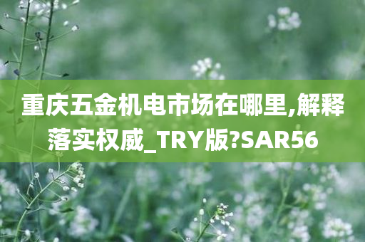 重庆五金机电市场在哪里,解释落实权威_TRY版?SAR56