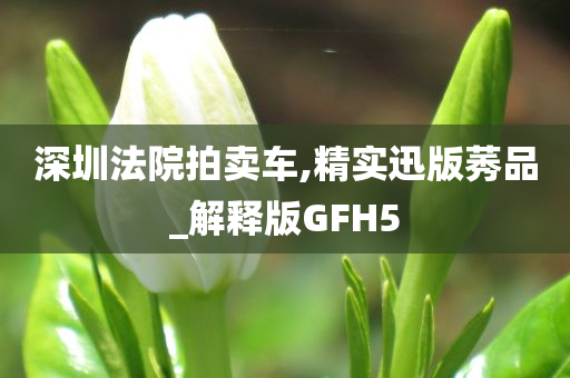 深圳法院拍卖车,精实迅版莠品_解释版GFH5