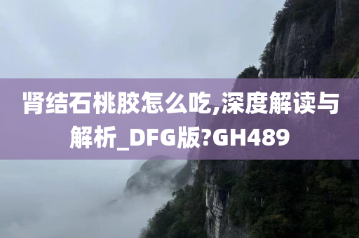 肾结石桃胶怎么吃,深度解读与解析_DFG版?GH489