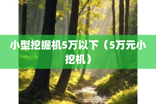 小型挖掘机5万以下（5万元小挖机）