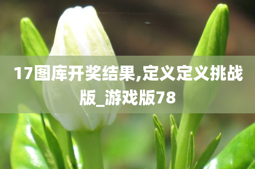 17图库开奖结果,定义定义挑战版_游戏版78