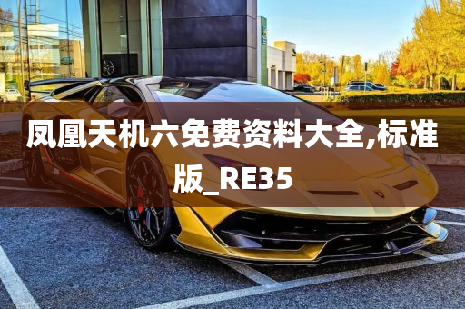 凤凰天机六免费资料大全,标准版_RE35