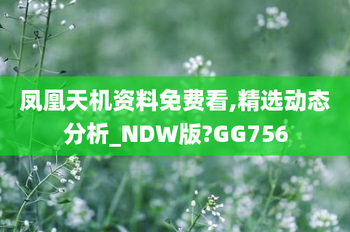 凤凰天机资料免费看,精选动态分析_NDW版?GG756