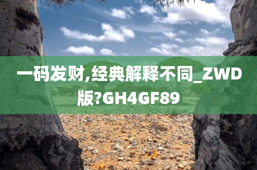 一码发财,经典解释不同_ZWD版?GH4GF89