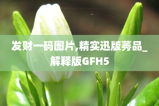 发财一码图片,精实迅版莠品_解释版GFH5