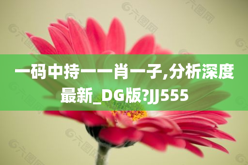 一码中持一一肖一子,分析深度最新_DG版?JJ555