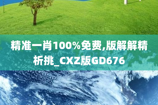 精准一肖100%免费,版解解精析挑_CXZ版GD676