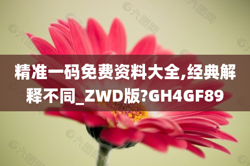 精准一码免费资料大全,经典解释不同_ZWD版?GH4GF89