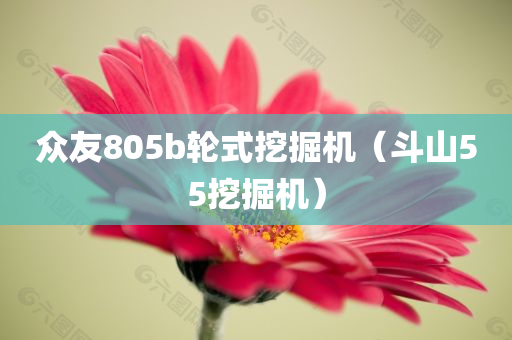 众友805b轮式挖掘机（斗山55挖掘机）