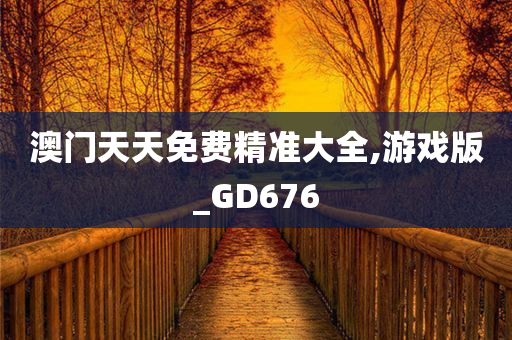 澳门天天免费精准大全,游戏版_GD676