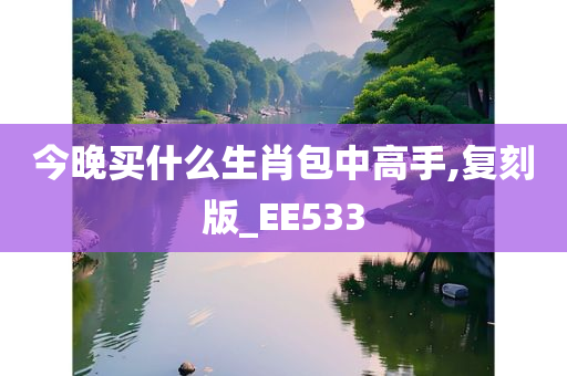 今晚买什么生肖包中高手,复刻版_EE533