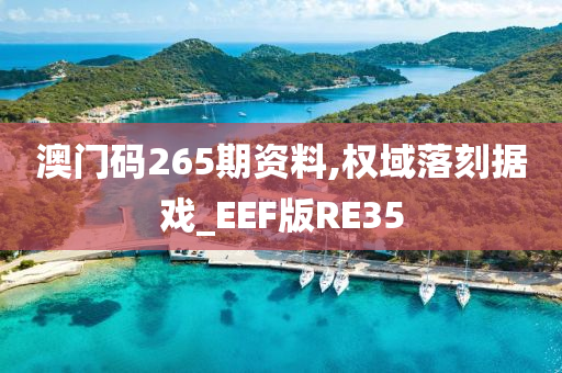 澳门码265期资料,权域落刻据戏_EEF版RE35