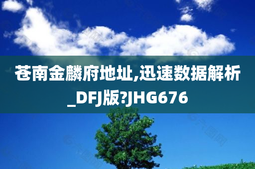 苍南金麟府地址,迅速数据解析_DFJ版?JHG676