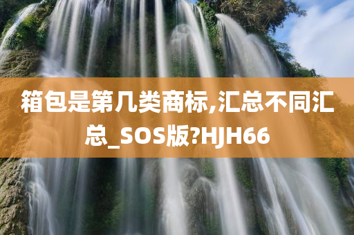 箱包是第几类商标,汇总不同汇总_SOS版?HJH66