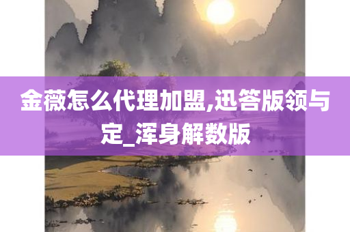 金薇怎么代理加盟,迅答版领与定_浑身解数版