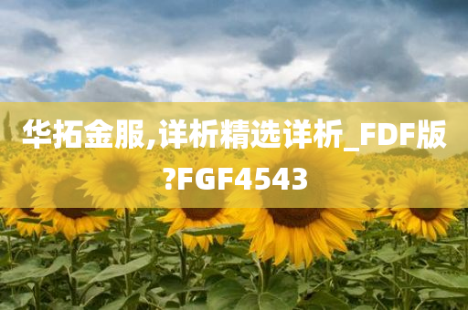 华拓金服,详析精选详析_FDF版?FGF4543