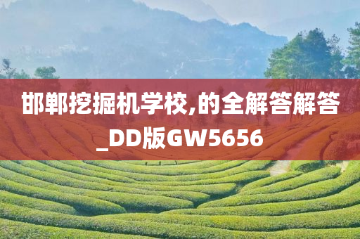 邯郸挖掘机学校,的全解答解答_DD版GW5656