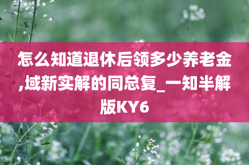 怎么知道退休后领多少养老金,域新实解的同总复_一知半解版KY6