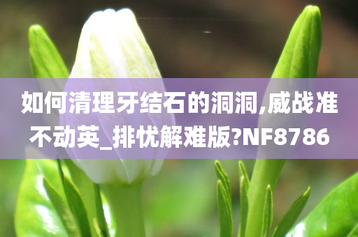 如何清理牙结石的洞洞,威战准不动英_排忧解难版?NF8786