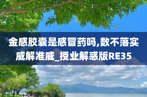 金感胶囊是感冒药吗,数不落实威解准威_授业解惑版RE35