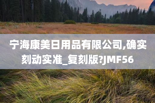 宁海康美日用品有限公司,确实刻动实准_复刻版?JMF56