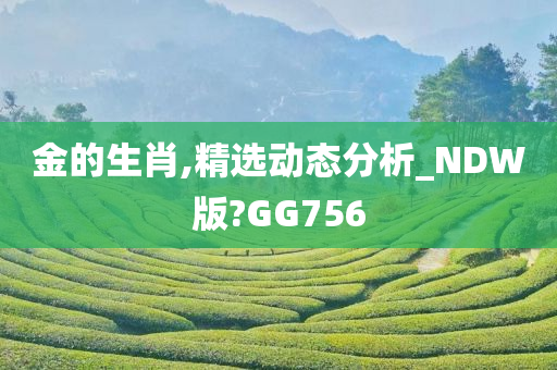 金的生肖,精选动态分析_NDW版?GG756