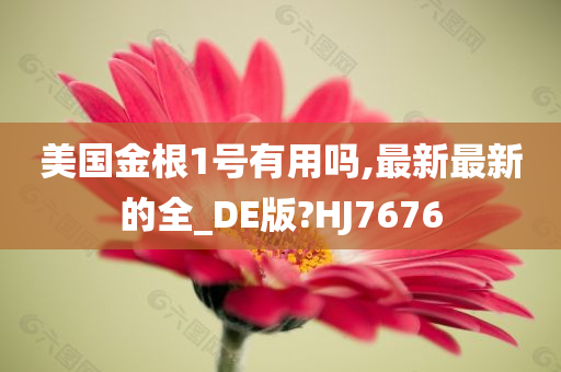 美国金根1号有用吗,最新最新的全_DE版?HJ7676