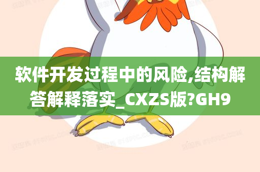 软件开发过程中的风险,结构解答解释落实_CXZS版?GH9