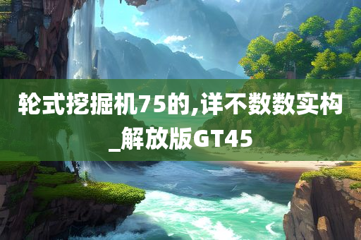 轮式挖掘机75的,详不数数实构_解放版GT45