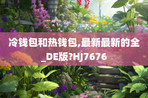 冷钱包和热钱包,最新最新的全_DE版?HJ7676