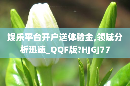 娱乐平台开户送体验金,领域分析迅速_QQF版?HJGJ77