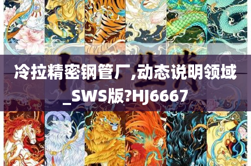 冷拉精密钢管厂,动态说明领域_SWS版?HJ6667