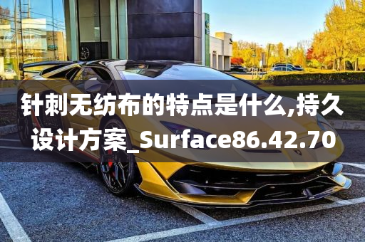 针刺无纺布的特点是什么,持久设计方案_Surface86.42.70