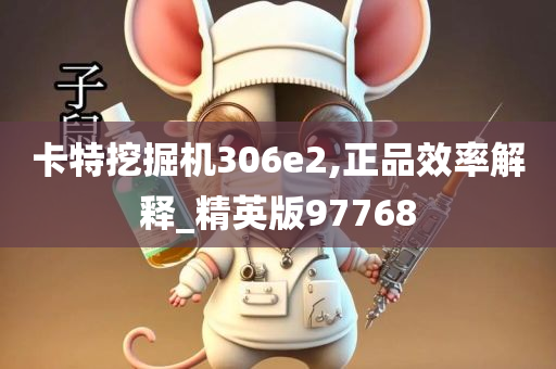 卡特挖掘机306e2,正品效率解释_精英版97768